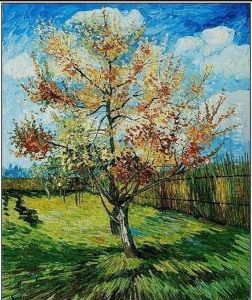 Pink Peach Tree In Blossom