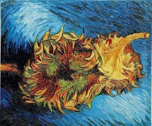 Two Sunflowers