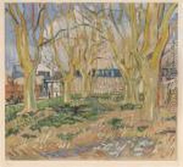 Paysage - view 1