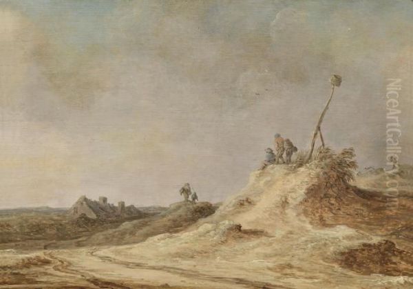Dunelandscape Near Scheveningen - view 1