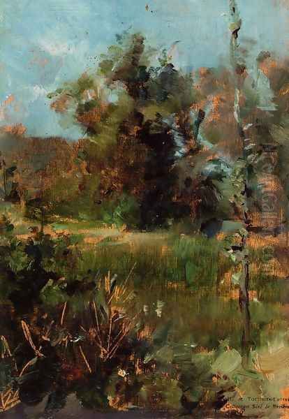 The Clearing - view 1