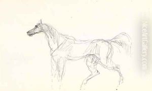 Cheval 2