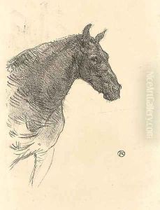 Le Poney Philibert by Henri De Toulouse-Lautrec