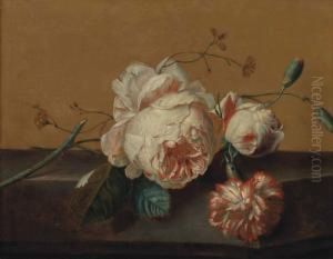 Flourishing Pink Roses And Rosebuds On A Stone Ledge Flourishing Pink Roses And Rosebuds On A Stone Ledge