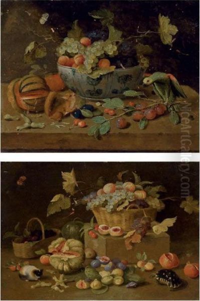 Fruits Dans Un Plat En Delft, 
Perroquet Et Ecureuil Sur Un Entablement; Et Un Panier De Fruits, Tortue
 Et Cochon D'inde - view 1