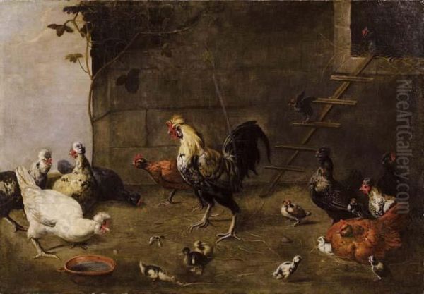 Animali In Un Pollaio - view 1