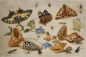 A Swallowtail by Jan van Kessel