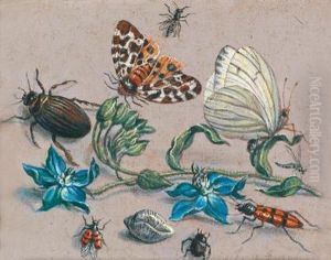 Natura Morta Con Fiori Natura Morta Con Fiori