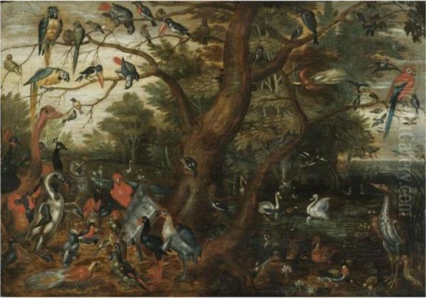 A Concert Of Birds - view 1