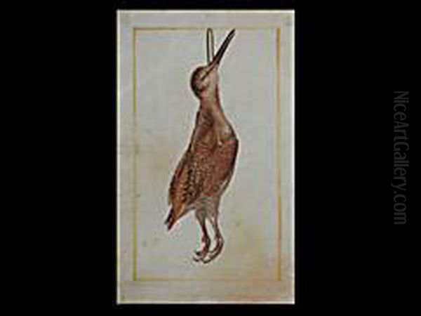 Erlegte Schnepfe - view 1