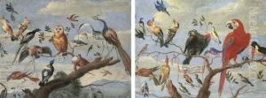 A Concert Of Birds: An Owl,
Pidgeon, Canary, Peacock And Other Birds On A Tree Branch; Bluebirds, A
Parrot, A Macaw, A Tucan And Other Birds On A Tree Branch by Jan van Kessel