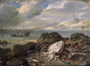 Cuttle-fish by Jan van Kessel