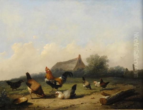 Roosters And Hens - view 1