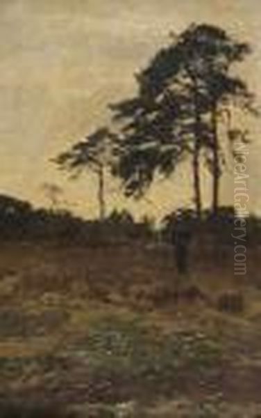 'valavond' - view 1