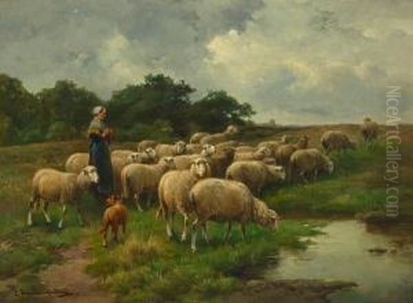 Sheep At Pasture - view 1
