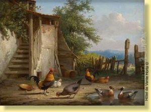 Coq, Poules Et Canards