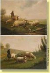 Moutons Moutons