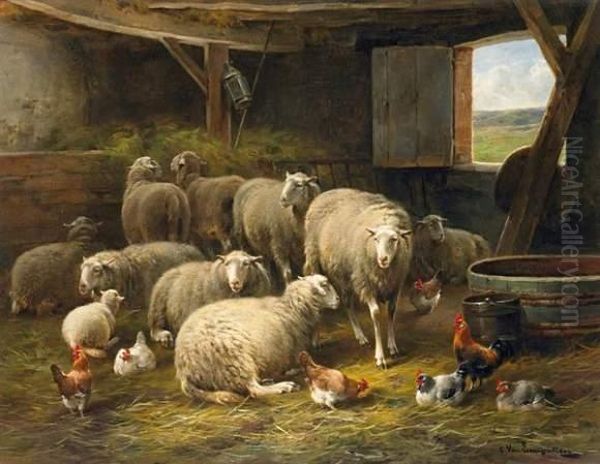 The Sheepfold - view 1