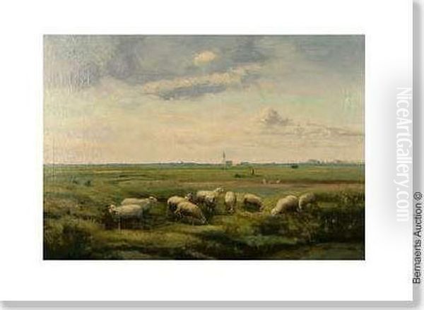 Landscape Withsheep And Village On The Horizon - view 1