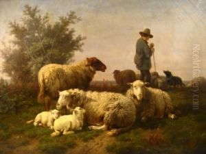 Sheep And Herder