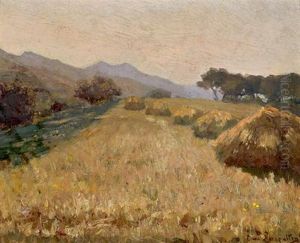 Sommerliche Landschaft
