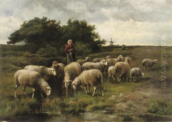 Sheep Near A Stream - view 1
