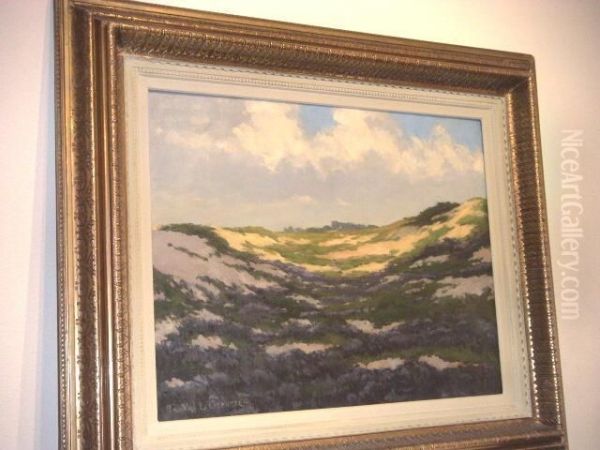 Lesdunes - view 1