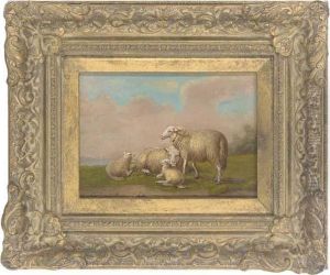 Sheep Resting In The Sun by Cornelis van Leemputten