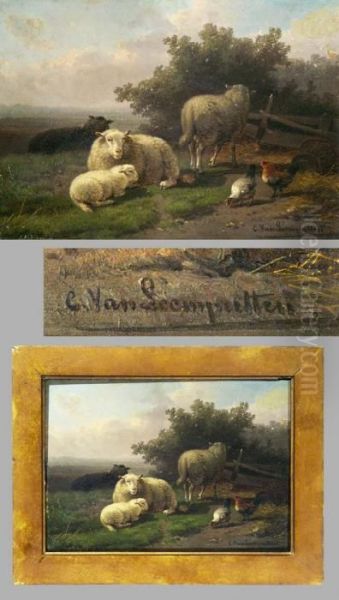 "schafe Und Huhner" Vor Einem Zaun In Weiter Landschaft - view 1