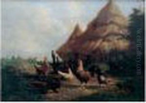 Poulailler Et Meules De Foin