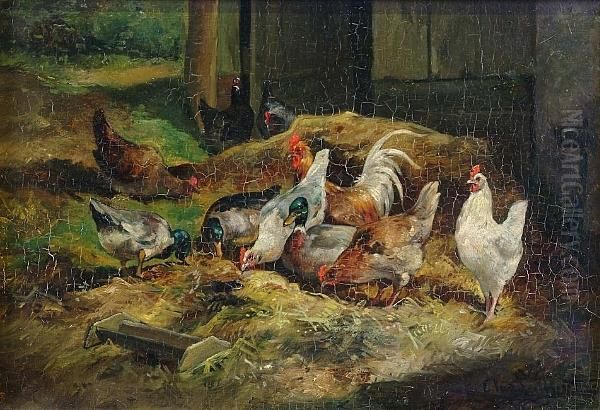 Chickens And Ducks - view 1