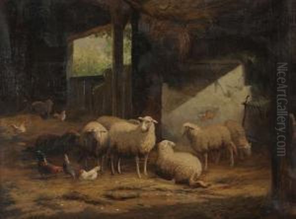 Stal Met Schapen En Kippen - view 1