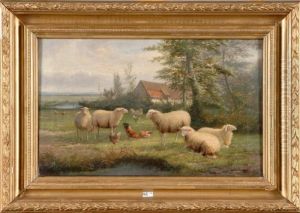 Moutons,coq Et Poules Au Pre