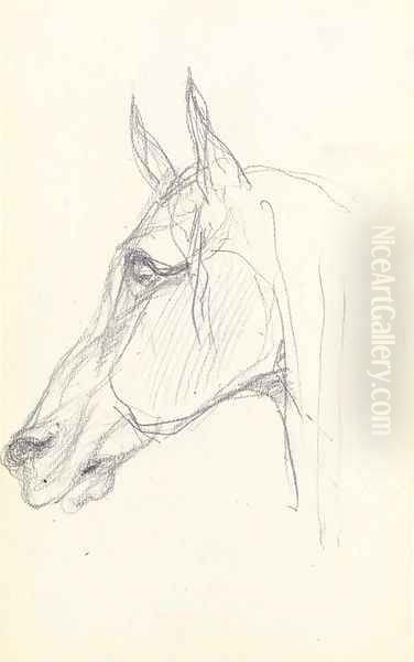 Tete de cheval - view 1