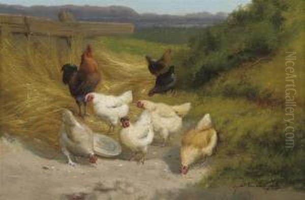 Poultry In The Farmyard - view 1