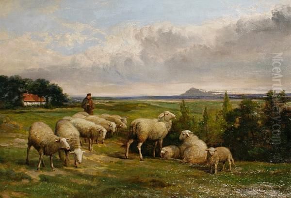 A Shepherd And His Flock - view 1