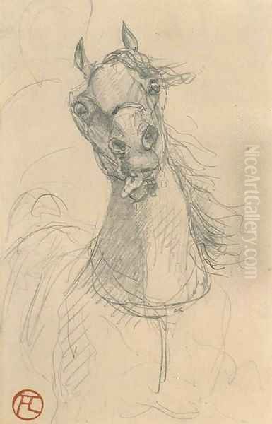 Tete de cheval 2 - view 1