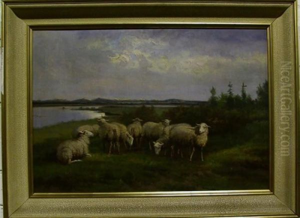Description:schapen In Een Wei Aan De Rivier - view 1