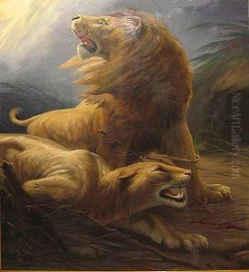 Lions Surpris Par L'orage
