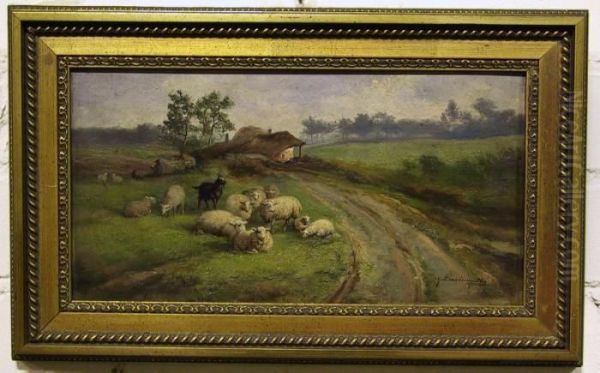 Kudde Schapen Aan Een Landweg. - view 1