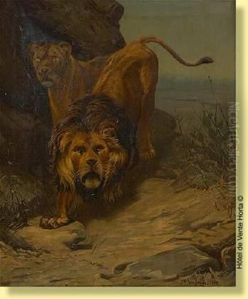 Lion Et Lionne A L'affut - view 1