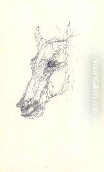 Tete de cheval 3 - view 1