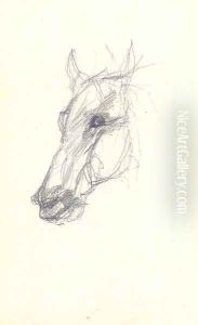Tete de cheval 3