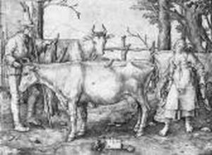 Das Milchmadchen by Lucas Van Leyden
