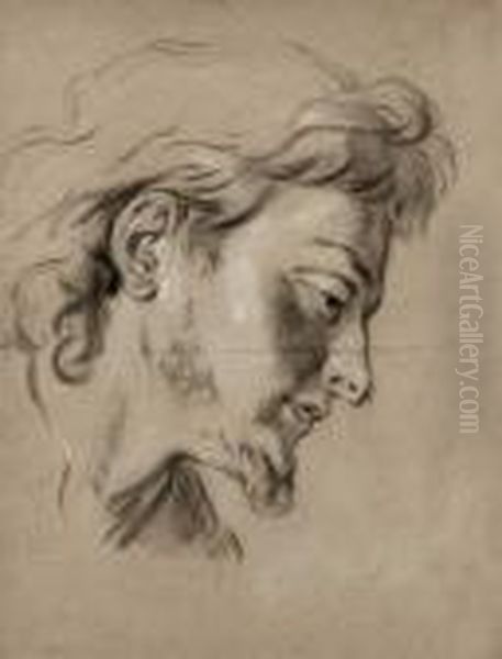 Tete D'homme De Profil - view 1