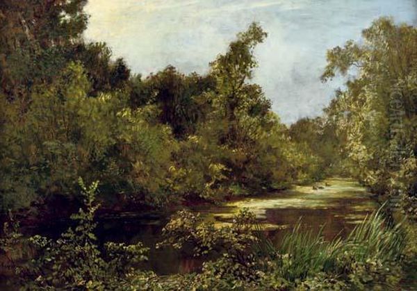 Sloot In Het Bosch: The Green Pond - view 1