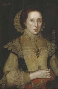 Portrait Of A Lady by Michiel Jansz. Van Miereveldt