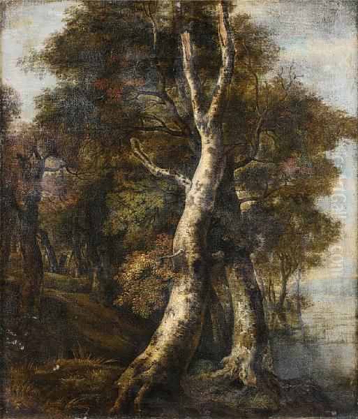 A Wooded River Landscape - view 1
