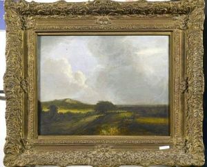 Brache Landschaft Mit Bauern Auf Dem Feld. by Jacob Van Ruisdael