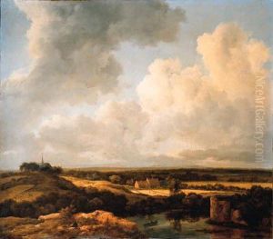 An Extensive Landscape In Summer